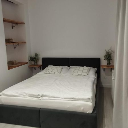 Zloty Zakatek Apartment Złoty Stok Екстериор снимка